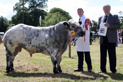 Third place in the final of the Osmonds/ NI Blue Club Bull Derby was owned by Andrew Craig, Coleraine and exhibited here by Stephen O'Kane who is pictured receiving a presentation from Ivan Porter of Osmonds.